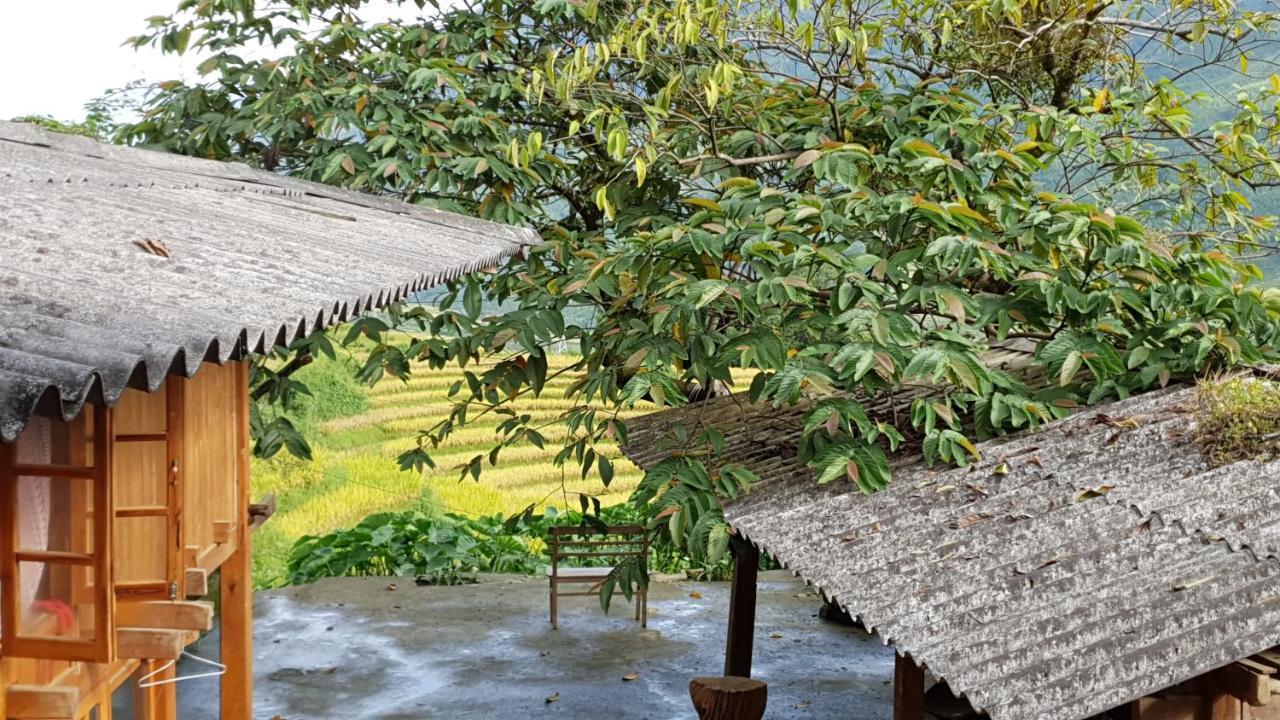 Hmong Sister House And Trekking * Sa Pa
